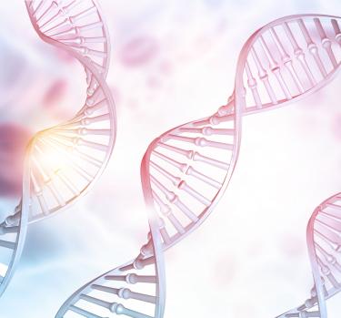 医疗技术 - 眼科和生命科学 医疗技术 - 眼科和生命科学
