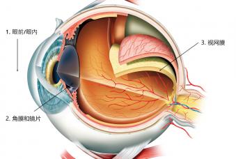 Ophthalmology Ophthalmology