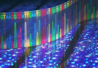 Next Generation Sequencing